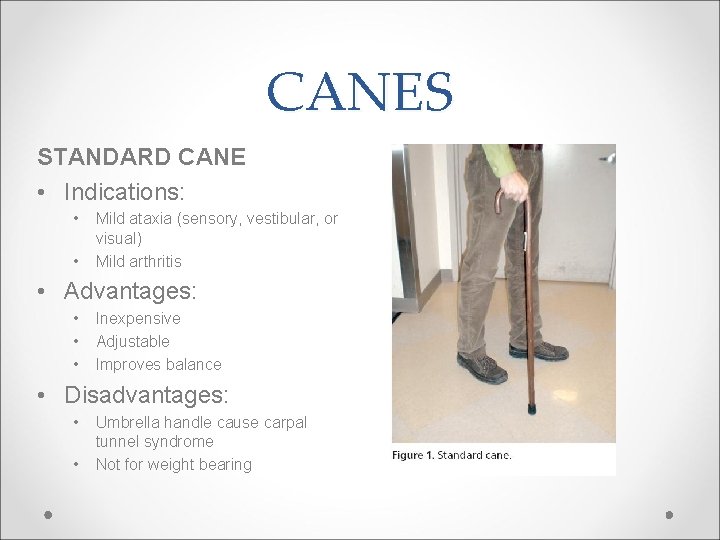 CANES STANDARD CANE • Indications: • • Mild ataxia (sensory, vestibular, or visual) Mild