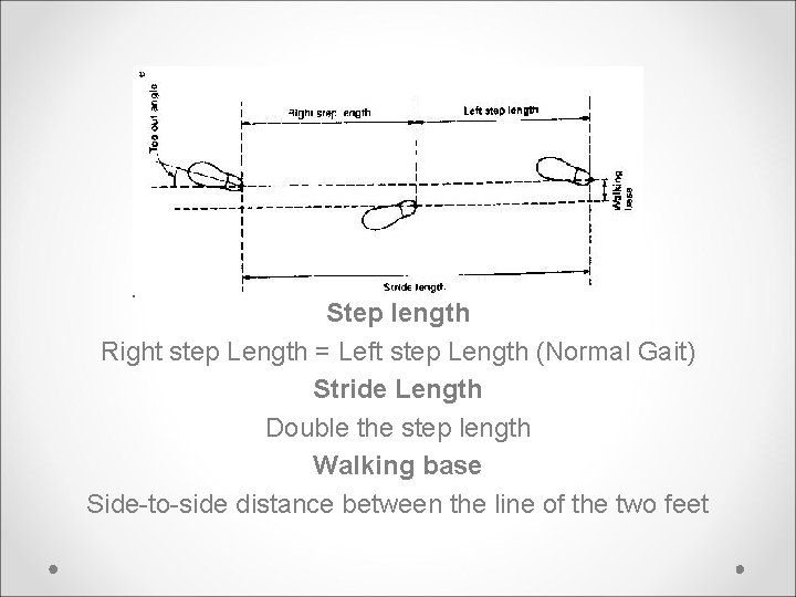 Step length Right step Length = Left step Length (Normal Gait) Stride Length Double