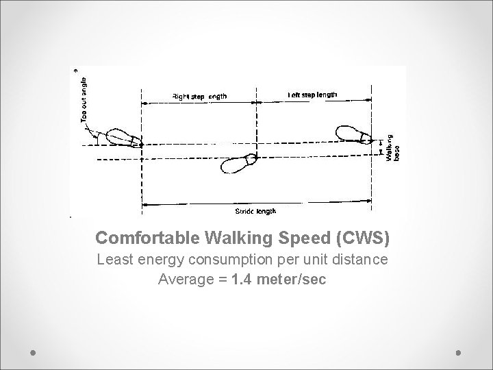 Comfortable Walking Speed (CWS) Least energy consumption per unit distance Average = 1. 4