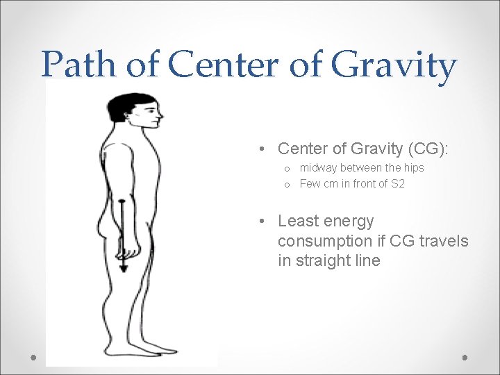 Path of Center of Gravity • Center of Gravity (CG): o midway between the