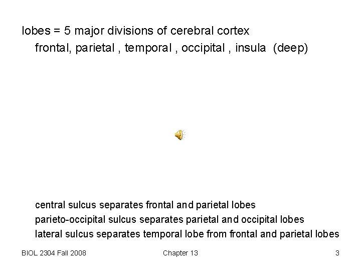 lobes = 5 major divisions of cerebral cortex frontal, parietal , temporal , occipital