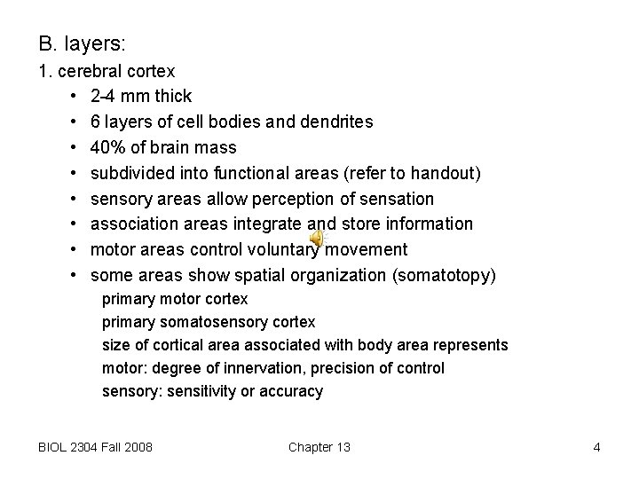 B. layers: 1. cerebral cortex • 2 -4 mm thick • 6 layers of