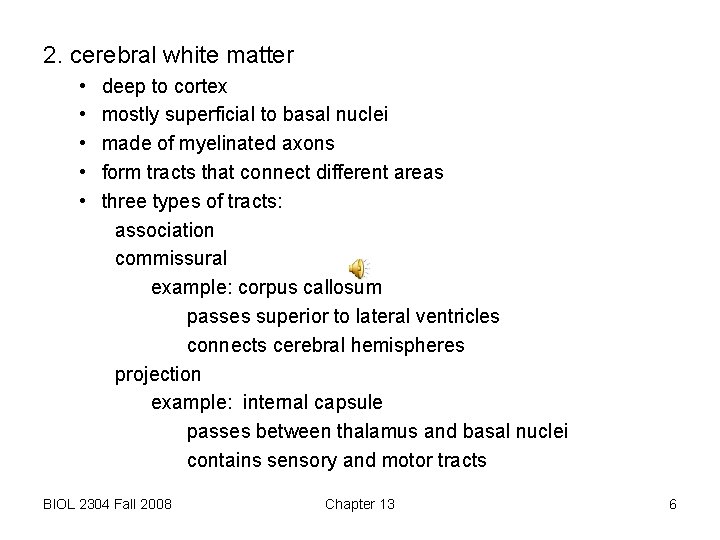 2. cerebral white matter • • • deep to cortex mostly superficial to basal