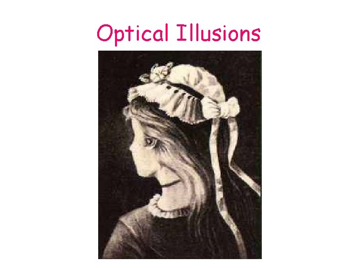  Optical Illusions 