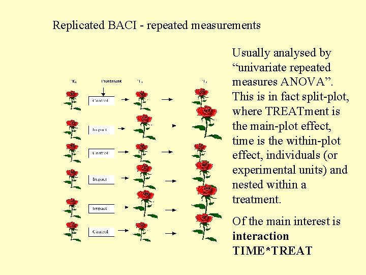 Replicated BACI - repeated measurements Usually analysed by “univariate repeated measures ANOVA”. This is