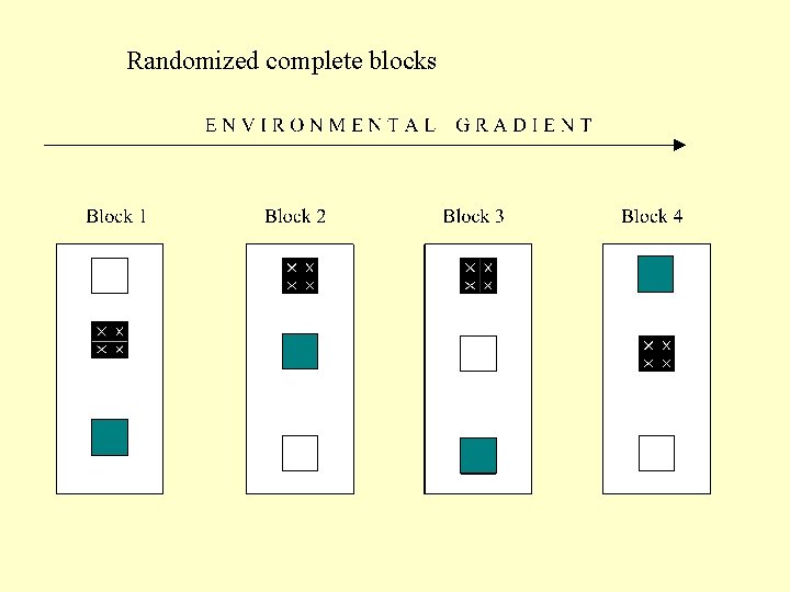 Randomized complete blocks 