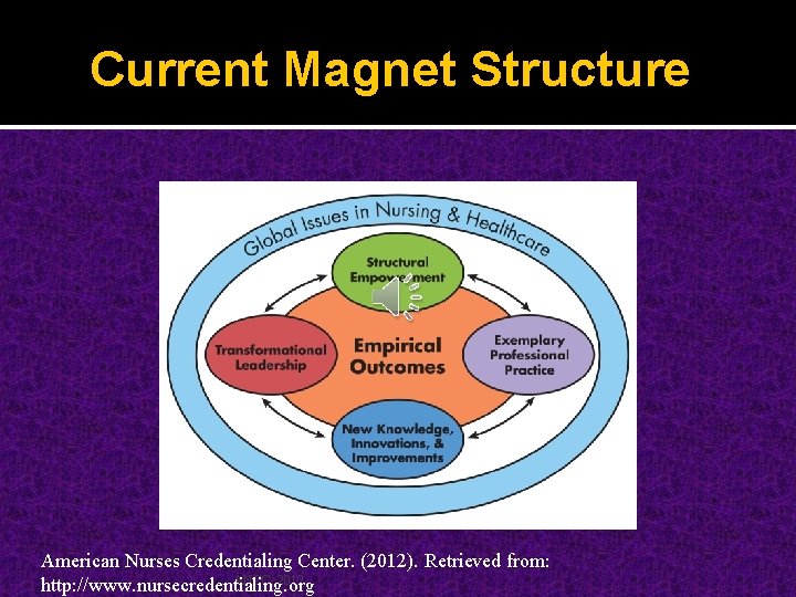 Current Magnet Structure American Nurses Credentialing Center. (2012). Retrieved from: ANCC, 2012 http: //www.