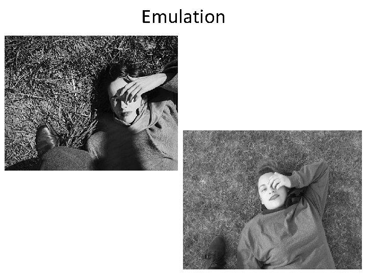 Emulation 