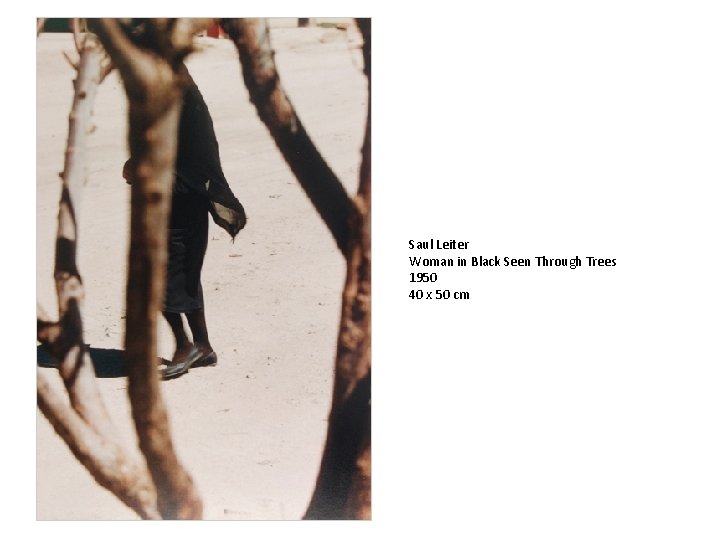Saul Leiter Woman in Black Seen Through Trees 1950 40 x 50 cm 