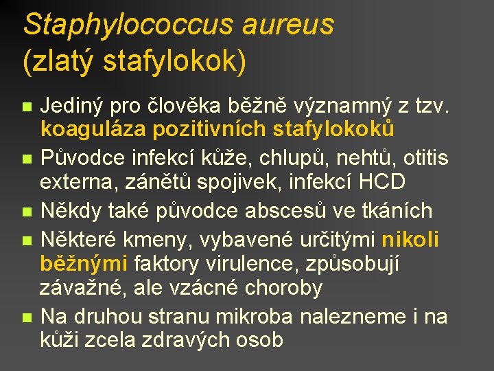 Staphylococcus aureus (zlatý stafylokok) n n n Jediný pro člověka běžně významný z tzv.