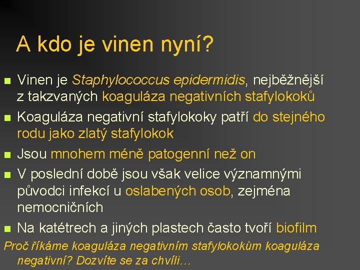 A kdo je vinen nyní? n n n Vinen je Staphylococcus epidermidis, nejběžnější z