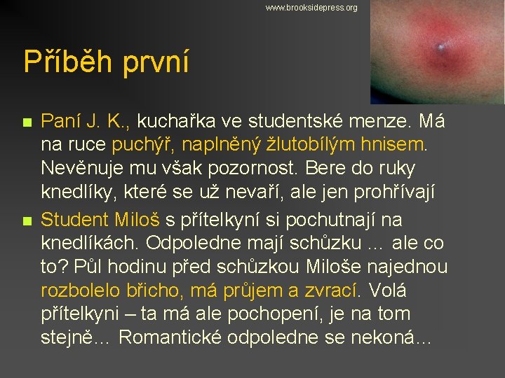 www. brooksidepress. org Příběh první n n Paní J. K. , kuchařka ve studentské