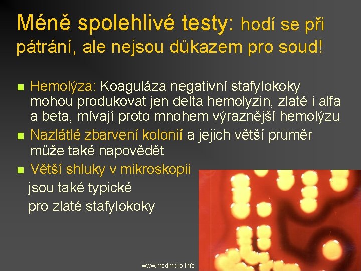 Méně spolehlivé testy: hodí se při pátrání, ale nejsou důkazem pro soud! Hemolýza: Koaguláza