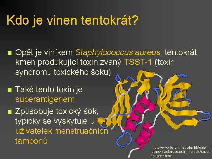 Kdo je vinen tentokrát? n Opět je viníkem Staphylococcus aureus, tentokrát kmen produkující toxin