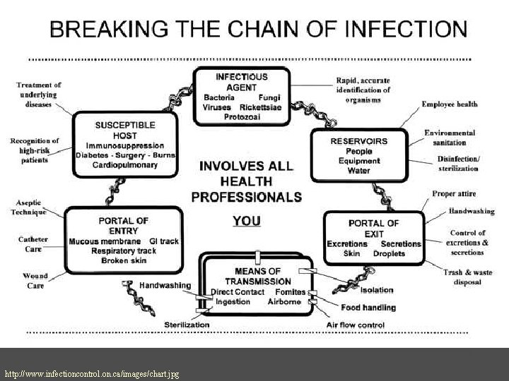 http: //www. infectioncontrol. on. ca/images/chart. jpg 