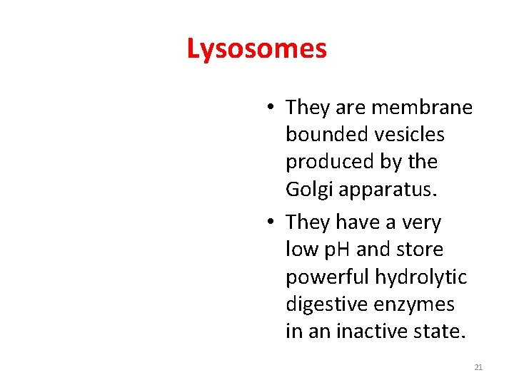 Lysosomes • They are membrane bounded vesicles produced by the Golgi apparatus. • They