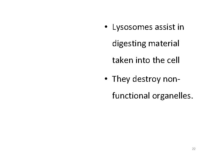  • Lysosomes assist in digesting material taken into the cell • They destroy