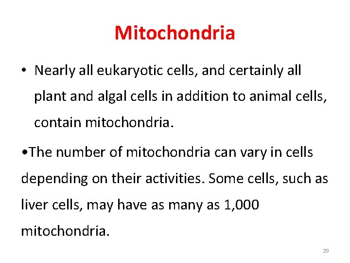 Mitochondria • Nearly all eukaryotic cells, and certainly all plant and algal cells in