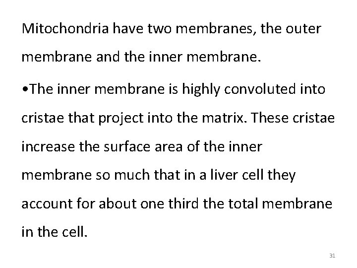 Mitochondria have two membranes, the outer membrane and the inner membrane. • The inner