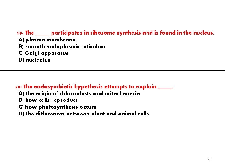 19 - The _____ participates in ribosome synthesis and is found in the nucleus.