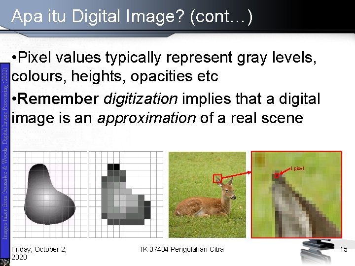 Images taken from Gonzalez & Woods, Digital Image Processing (2002) Apa itu Digital Image?
