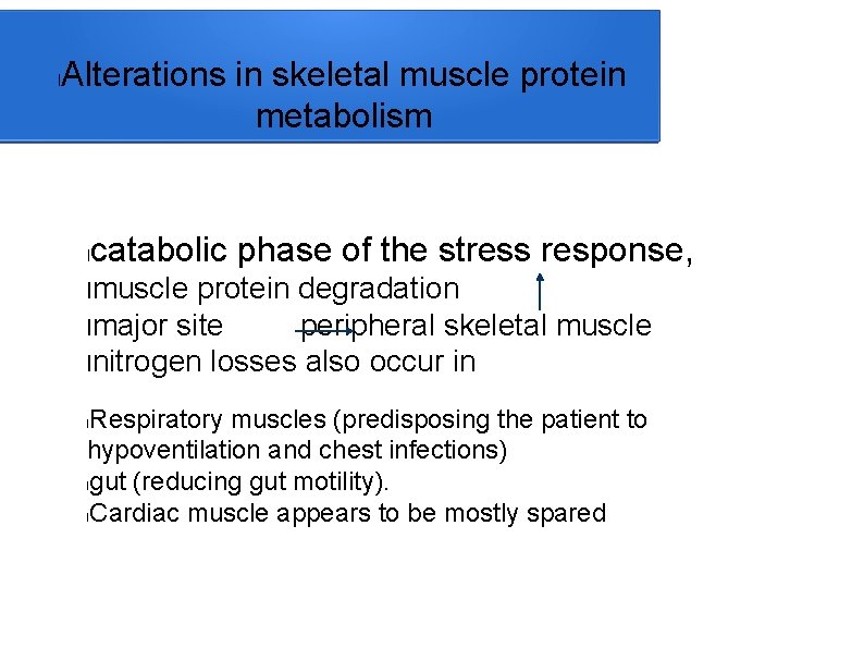 l Alterations in skeletal muscle protein metabolism l catabolic phase of the stress response,