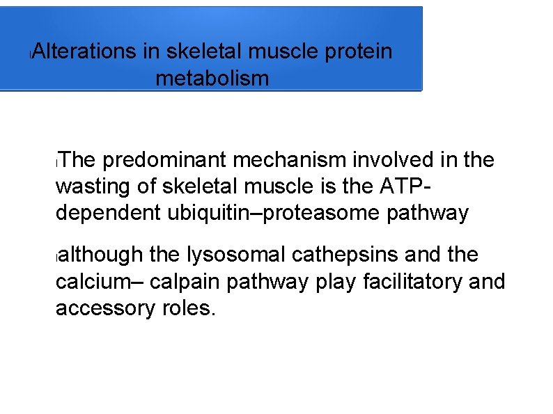 l Alterations in skeletal muscle protein metabolism The predominant mechanism involved in the wasting
