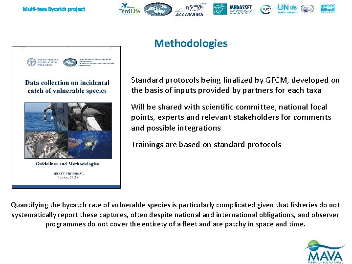 Multi-taxa Bycatch project Methodologies Standard protocols being finalized by GFCM, developed on the basis