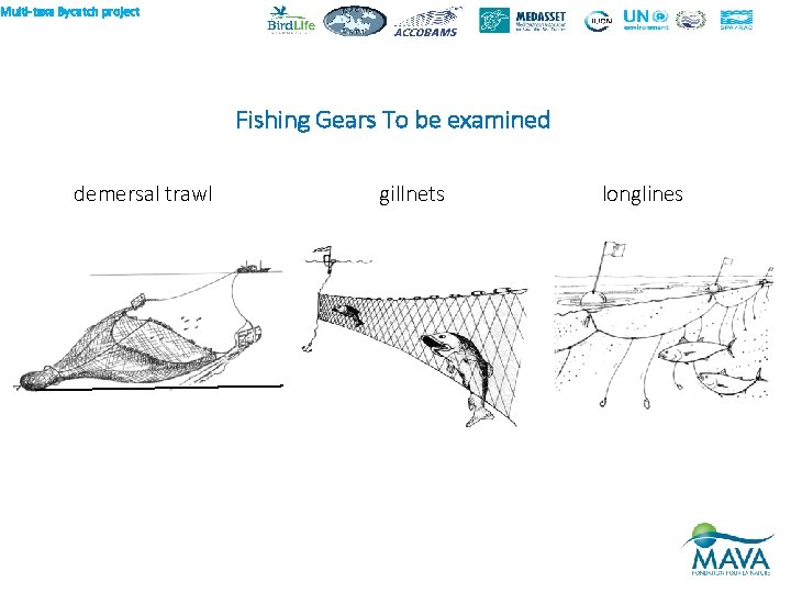 Multi-taxa Bycatch project Fishing Gears To be examined demersal trawl gillnets longlines 