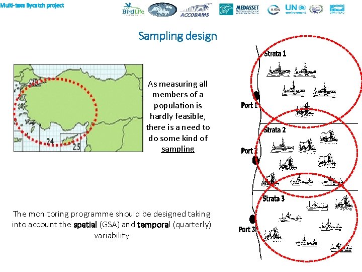 Multi-taxa Bycatch project Sampling design As measuring all members of a population is hardly