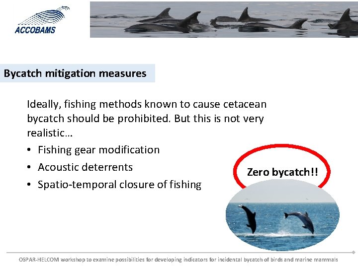 Bycatch mitigation measures Ideally, fishing methods known to cause cetacean bycatch should be prohibited.