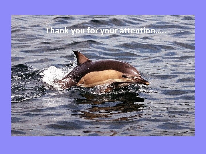 Thank you for your attention…. . 