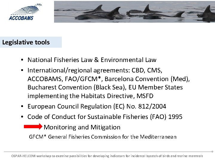 Legislative tools • National Fisheries Law & Environmental Law • International/regional agreements: CBD, CMS,