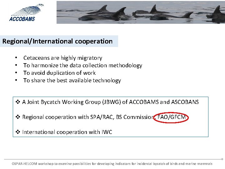 Regional/International cooperation • • Cetaceans are highly migratory To harmonize the data collection methodology