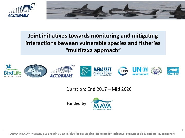 Joint initiatives towards monitoring and mitigating interactions beween vulnerable species and fisheries “multitaxa approach”