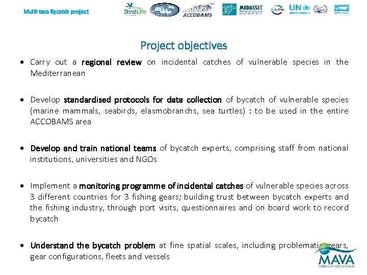 Multi-taxa Bycatch project Project objectives Carry out a regional review on incidental catches of
