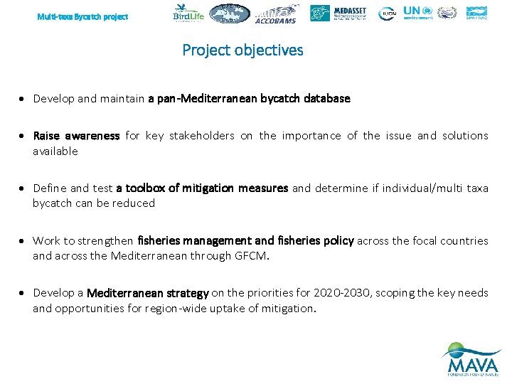 Multi-taxa Bycatch project Project objectives Develop and maintain a pan-Mediterranean bycatch database Raise awareness