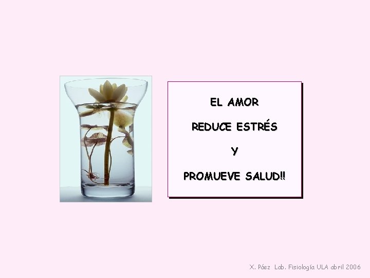 EL AMOR REDUCE ESTRÉS Y PROMUEVE SALUD!! X. Páez Lab. Fisiología ULA abril 2006