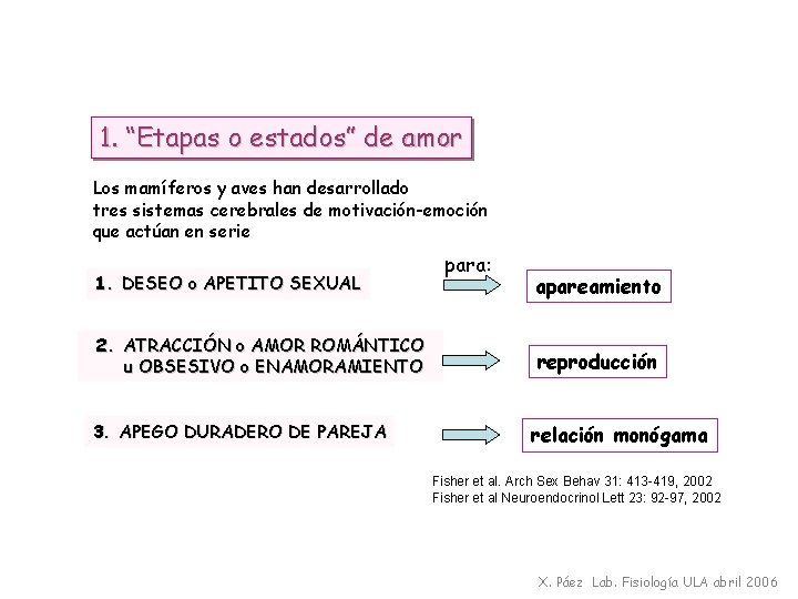 1. “Etapas o estados” de amor Los mamíferos y aves han desarrollado tres sistemas