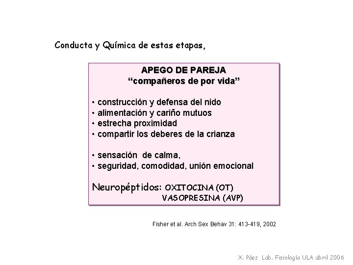 Conducta y Química de estas etapas, APEGO DE PAREJA “compañeros de por vida” •