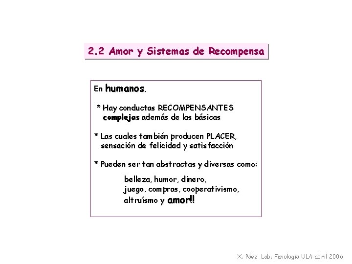 2. 2 Amor y Sistemas de Recompensa En humanos, * Hay conductas RECOMPENSANTES complejas