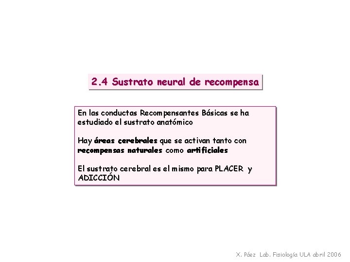 2. 4 Sustrato neural de recompensa En las conductas Recompensantes Básicas se ha estudiado