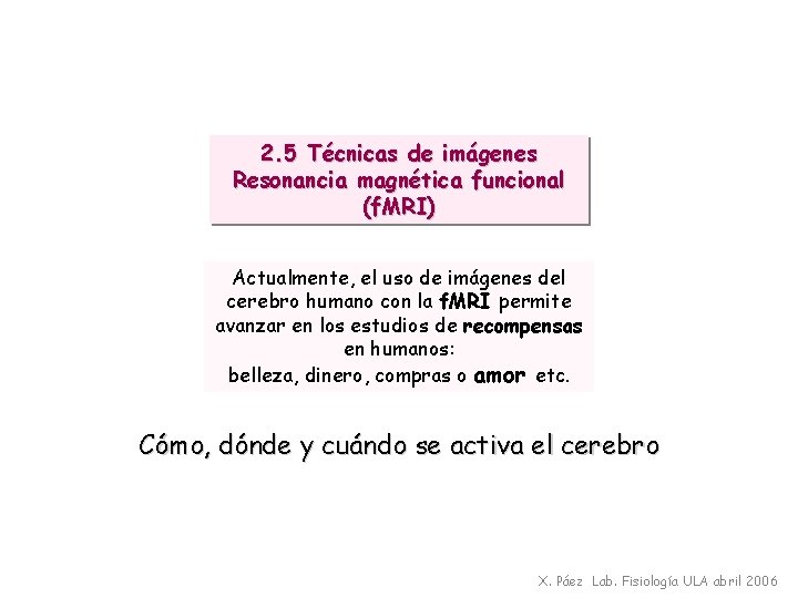 2. 5 Técnicas de imágenes Resonancia magnética funcional (f. MRI) Actualmente, el uso de