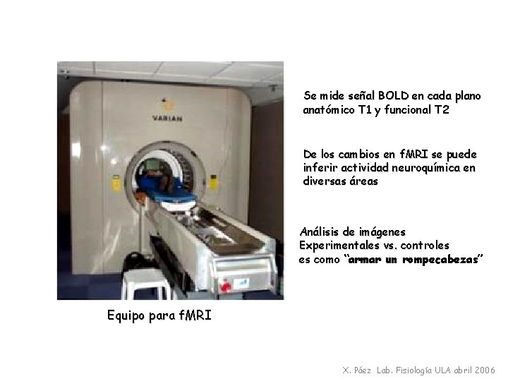 Se mide señal BOLD en cada plano anatómico T 1 y funcional T 2