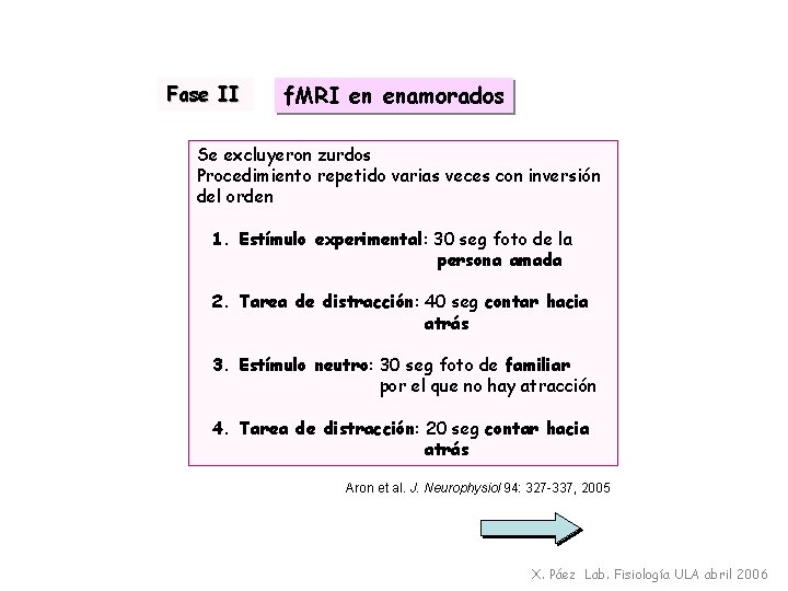 Fase II f. MRI en enamorados Se excluyeron zurdos Procedimiento repetido varias veces con