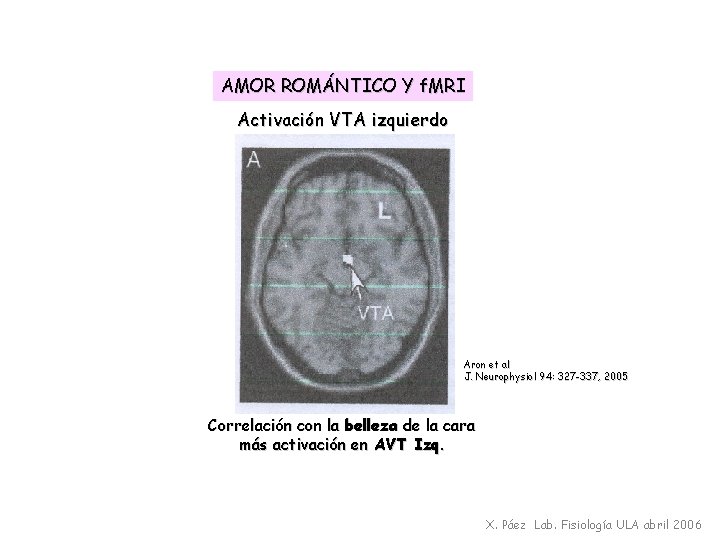 AMOR ROMÁNTICO Y f. MRI Activación VTA izquierdo Aron et al J. Neurophysiol 94: