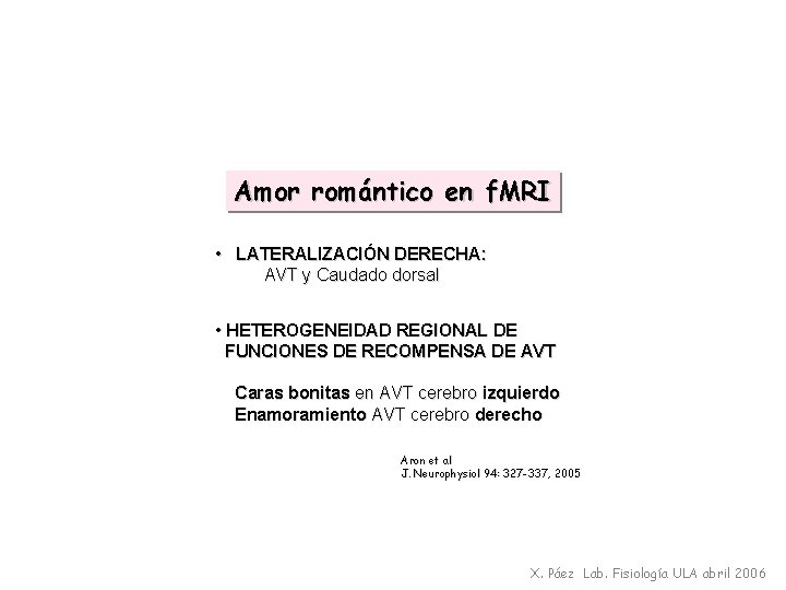 Amor romántico en f. MRI • LATERALIZACIÓN DERECHA: AVT y Caudado dorsal • HETEROGENEIDAD