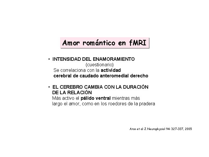 Amor romántico en f. MRI • INTENSIDAD DEL ENAMORAMIENTO (cuestionario) Se correlaciona con la