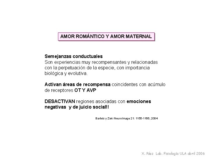 AMOR ROMÁNTICO Y AMOR MATERNAL Semejanzas conductuales Son experiencias muy recompensantes y relacionadas con