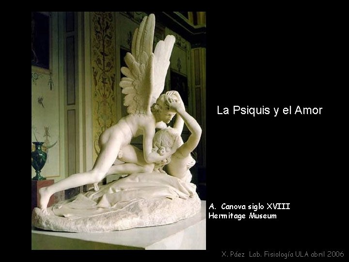 La Psiquis y el Amor A. Canova siglo XVIII Hermitage Museum X. Páez Lab.